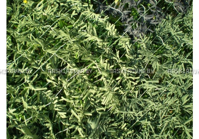 Маскировочная сеть МКТ-3Л 2х3 м Ель – купить по цене 159 byn в интернет-магазине в городе Рогачёв картинка 8