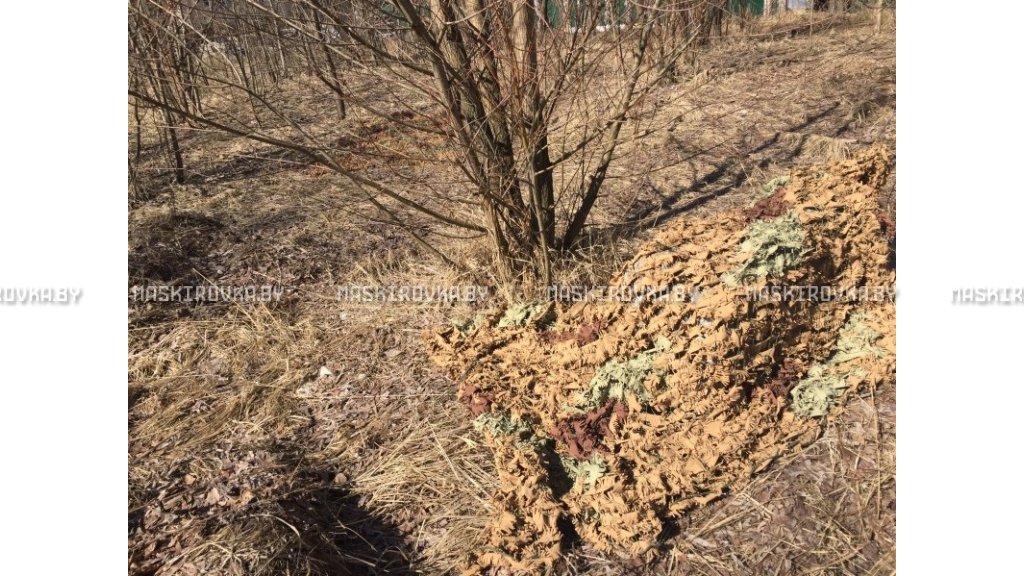 Маскировочная сеть МКТ-3П 2х3 м Камыш – купить по цене 133 byn в интернет-магазине в городе Рогачёв картинка 24
