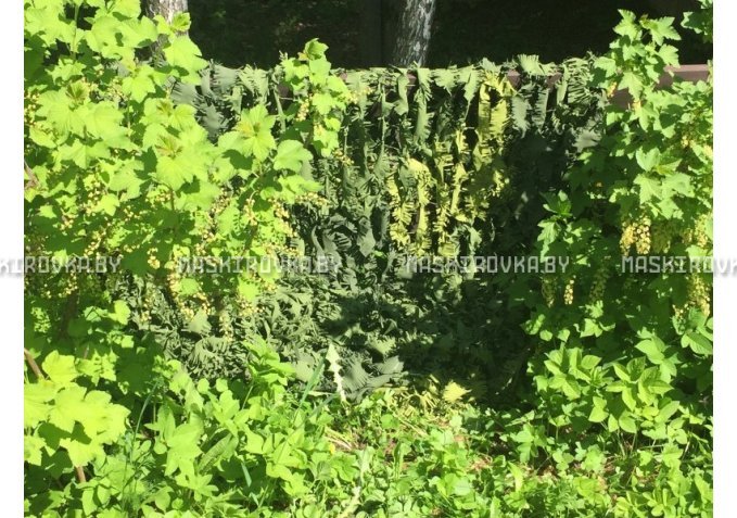 Маскировочная сеть МКТ-3Л 2х6 м Листва – купить по цене 217 byn в интернет-магазине в городе Рогачёв картинка 3
